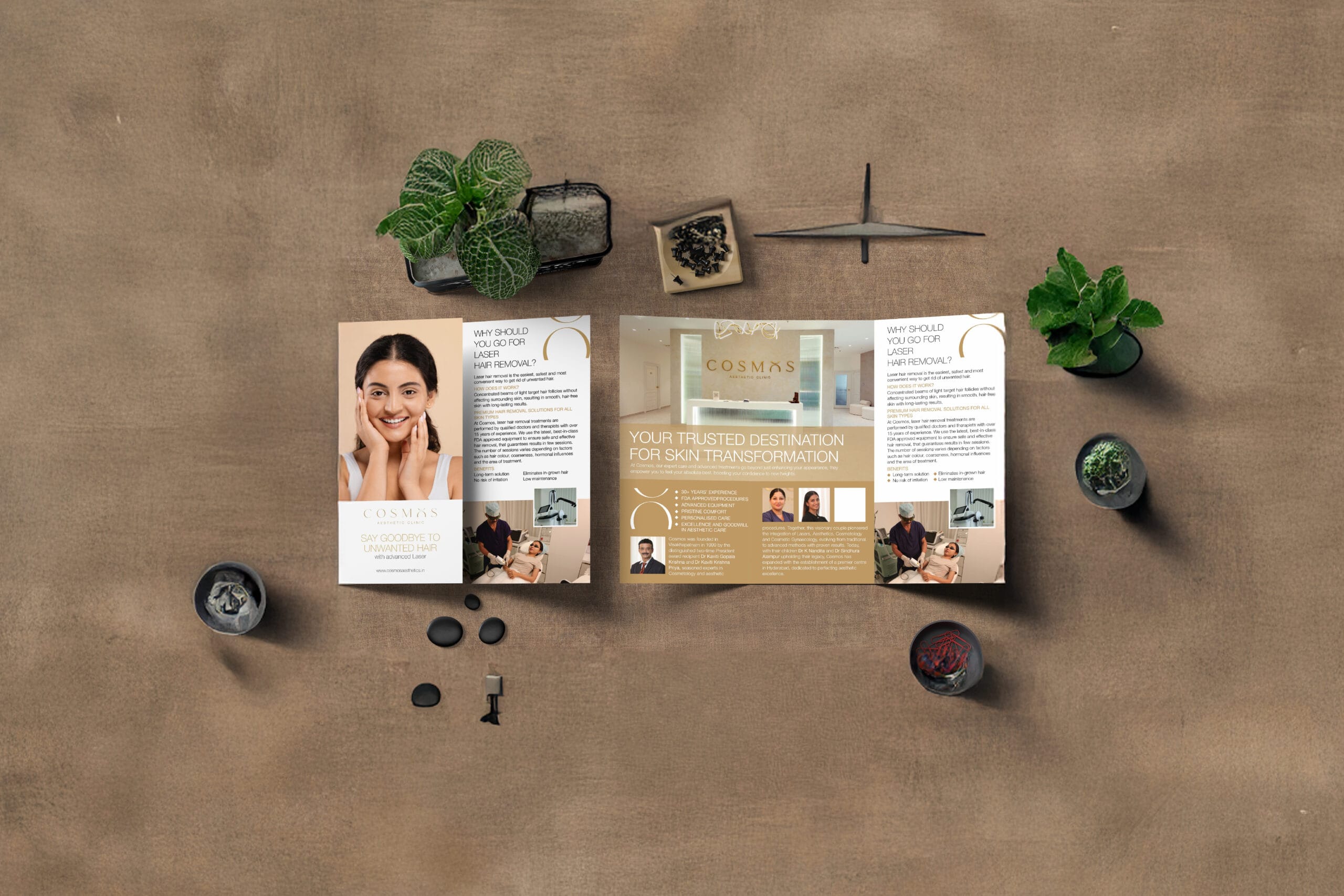 Cosmos Brochure